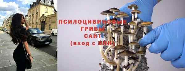 стаф Горнозаводск