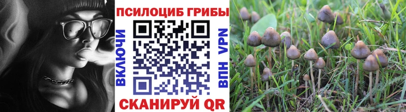 даркнет сайт  Дивногорск  Галлюциногенные грибы Cubensis 